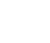 napoleon